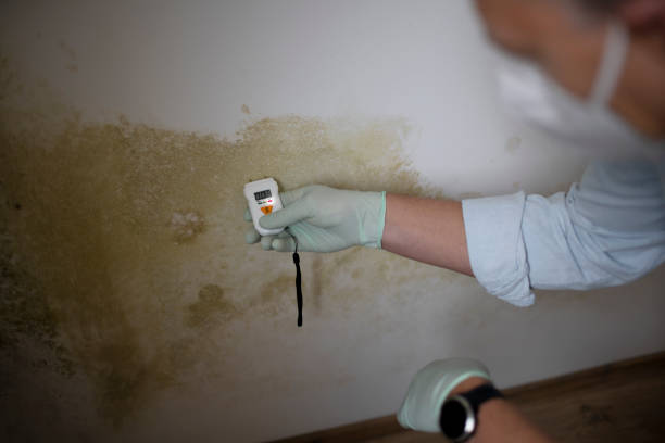 Best Mold Testing  in Lexington, MO