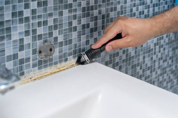  Lexington, MO Mold Removal Pros